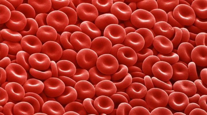 La anemia: un signo, no una enfermedad