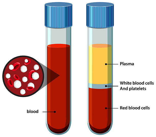 Enfermedades de la sangre