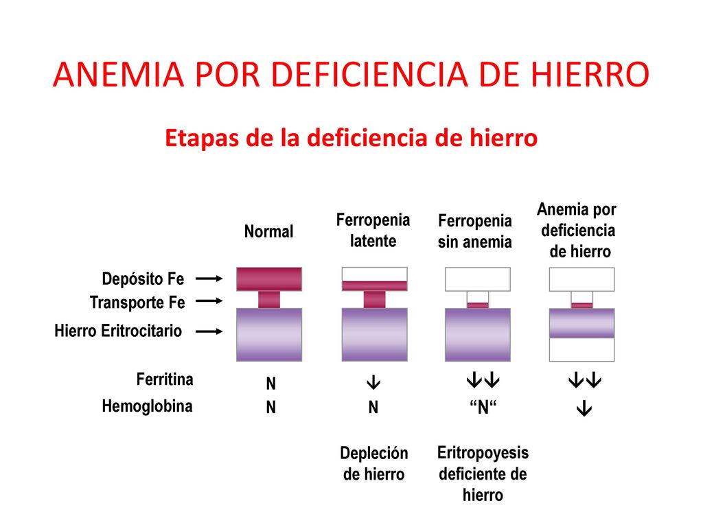 Helicobacter pylori