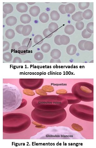 Plaquetas — Trombocitos