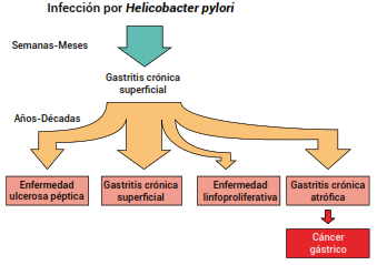 Coagulación sanguínea